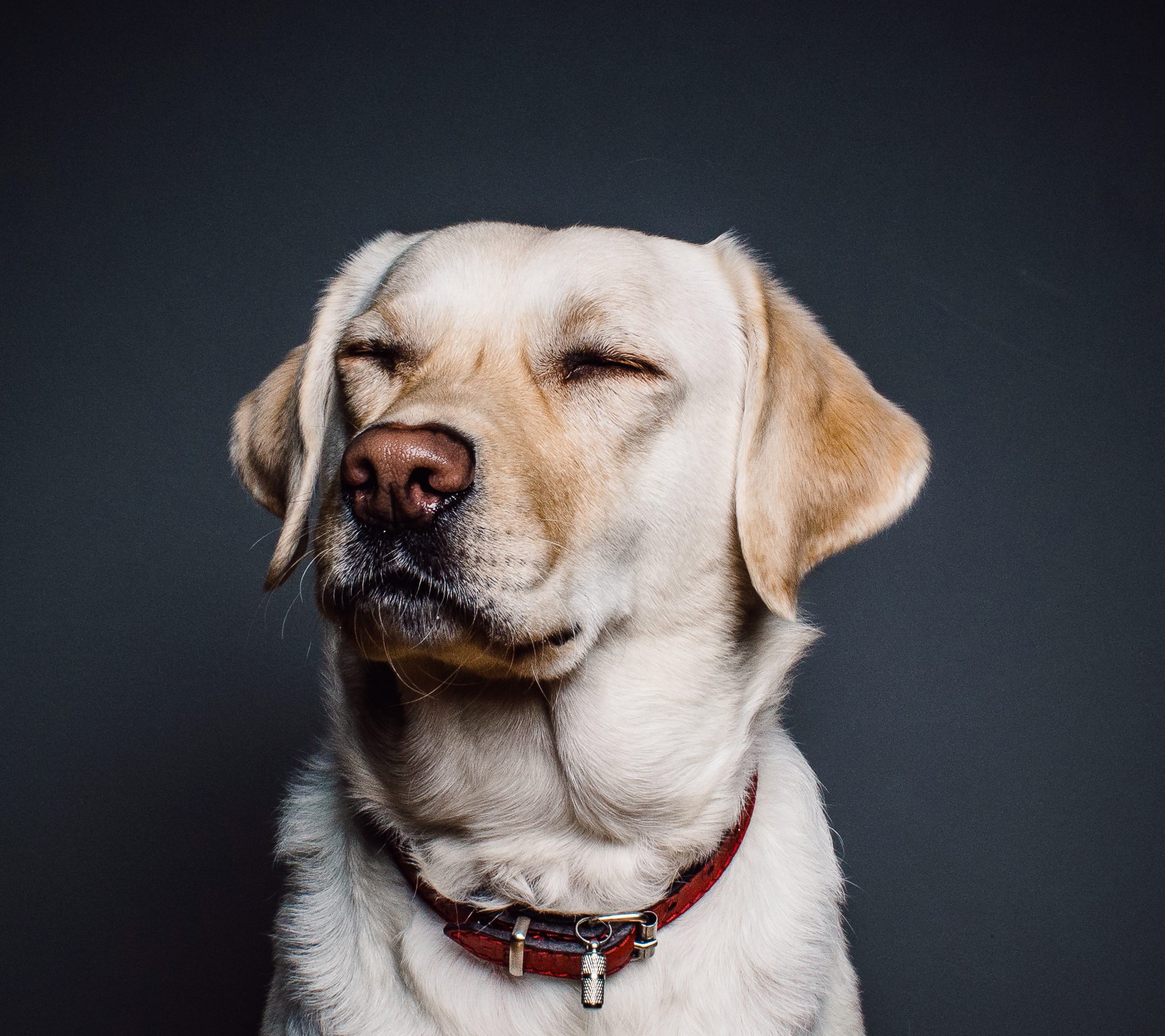 通过jstack排查死锁、CPU占用高等问题