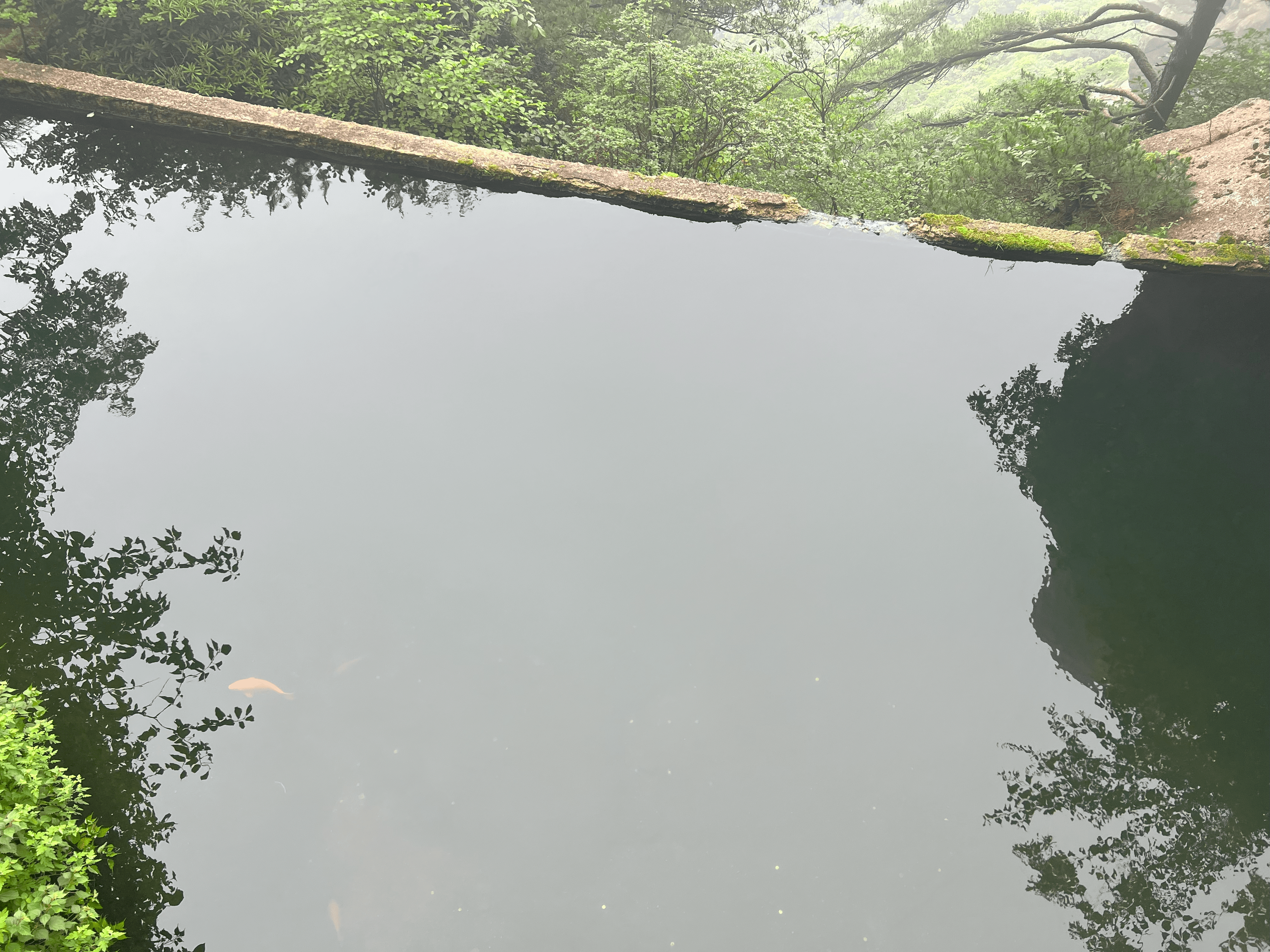 有些IP为什么不同城市网络延时都一样低？